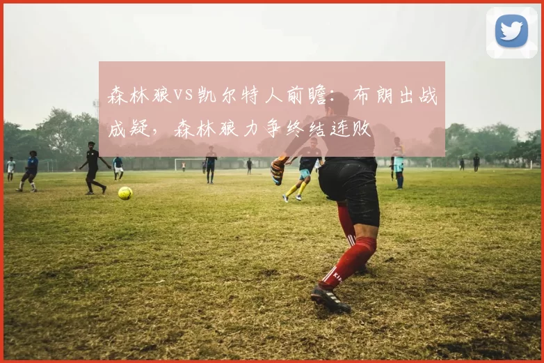 森林狼vs凯尔特人前瞻：布朗出战成疑，森林狼力争终结连败