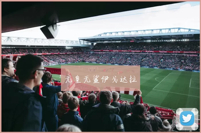 无皇无鲨伊戈达拉
